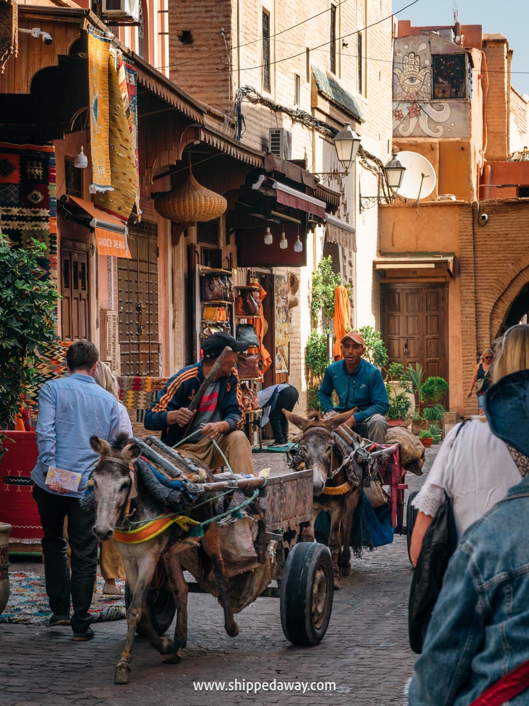 Things to do in Marrakesh, Morocco - donkey carts in Marrakesh medina