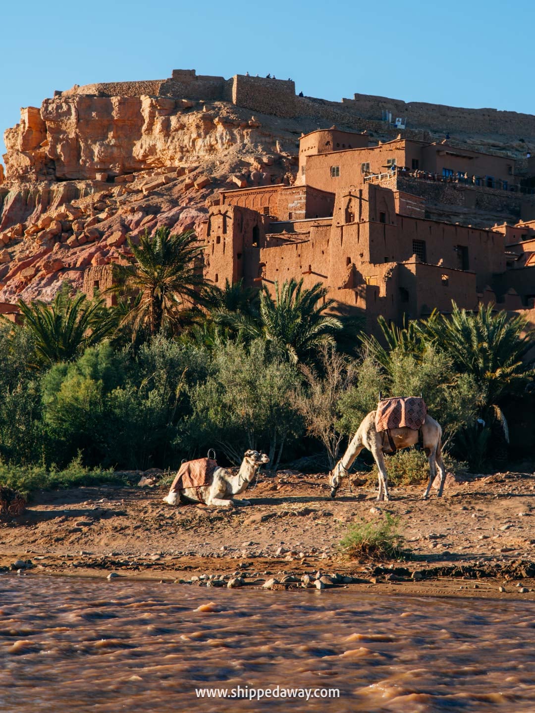 Ait Benhaddou Travel Guide - How to visit Ait Benhaddou - camels at the small river bridge