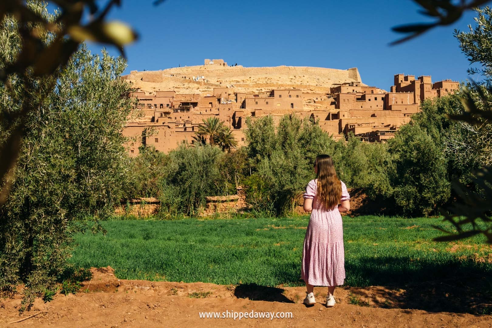 Ait Benhaddou Travel Guide - How to visit Ait Benhaddou - view from the gardens