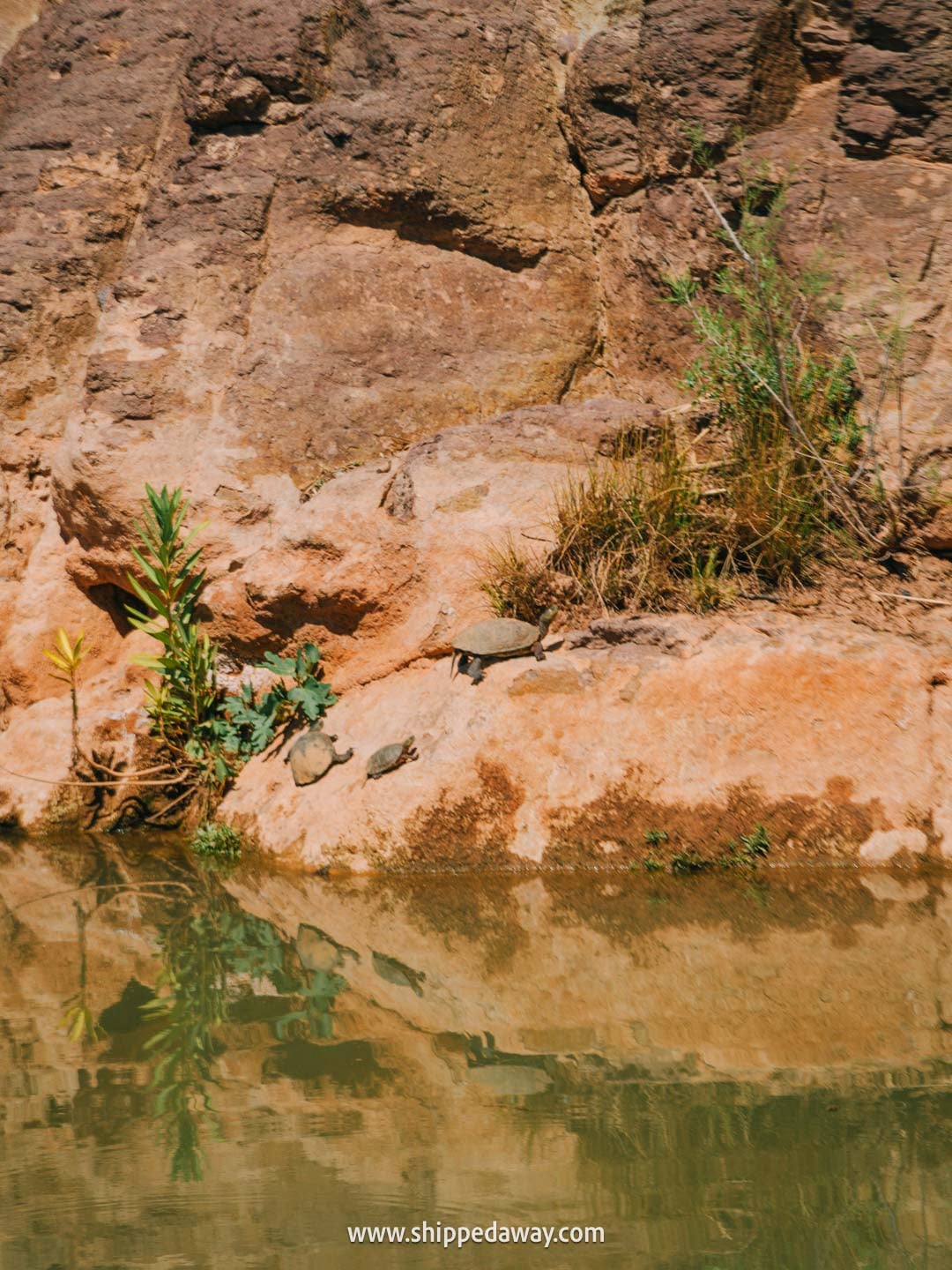Visiting Fint Oasis from Ait Benhaddou - a peaceful nature attraction