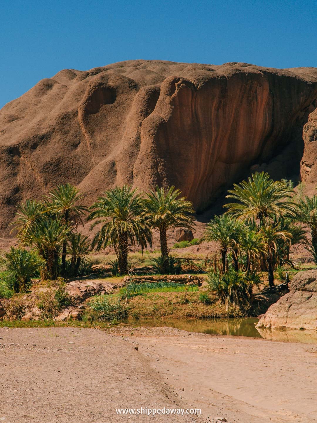 Visiting Fint Oasis from Ait Benhaddou - a peaceful nature attraction