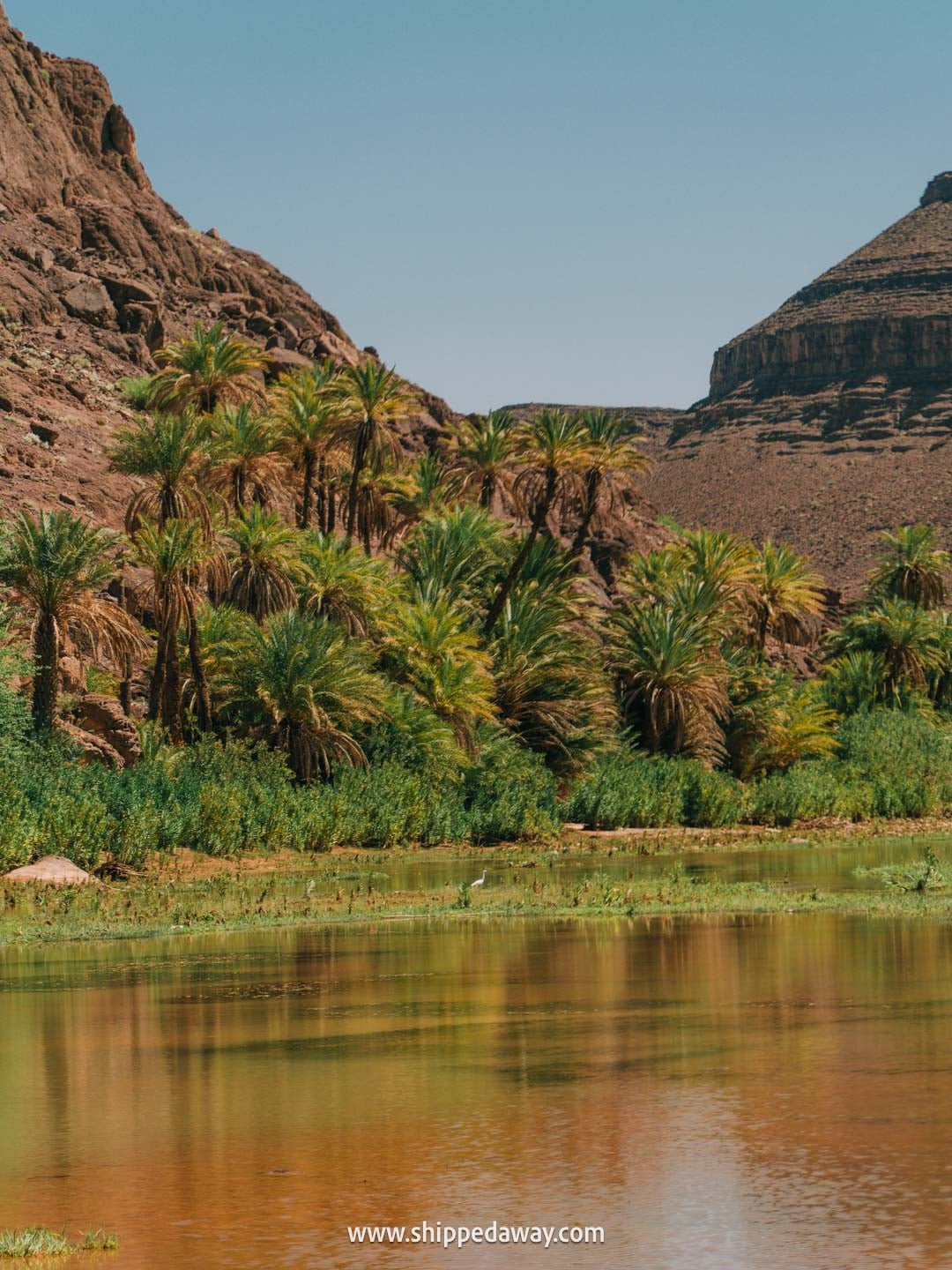 Visiting Fint Oasis from Ait Benhaddou - a peaceful nature attraction