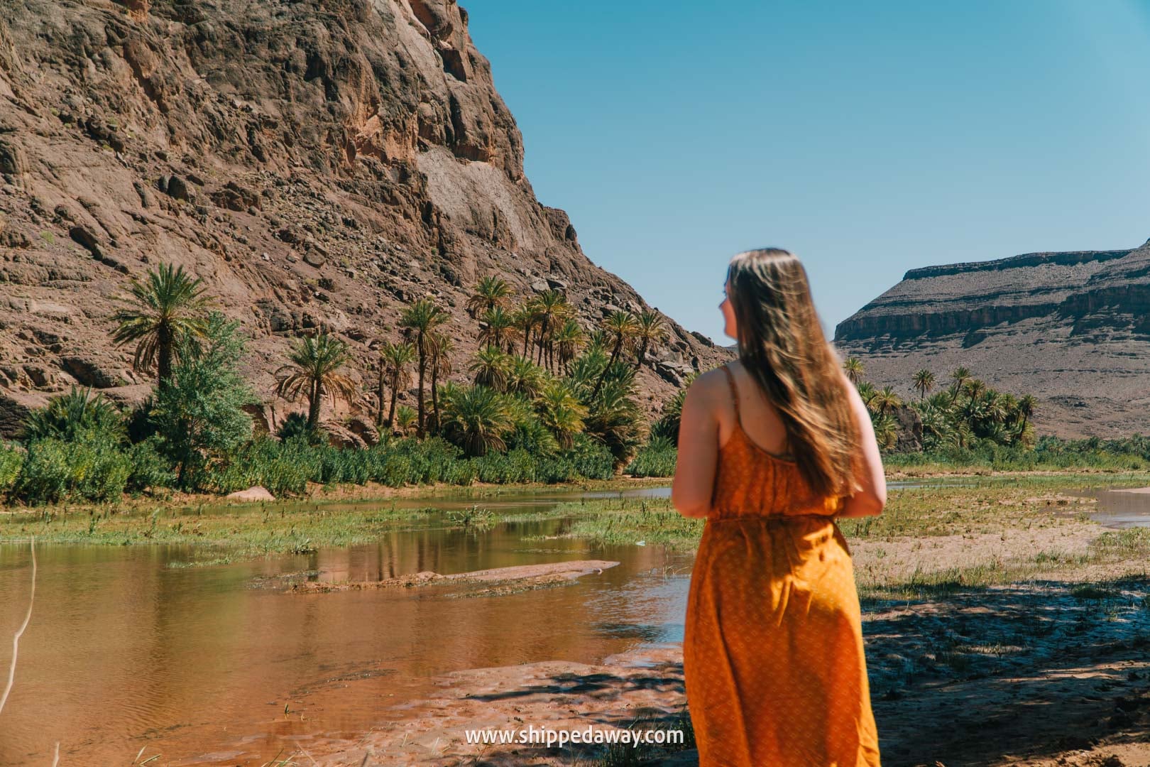 Visiting Fint Oasis from Ait Benhaddou - a peaceful nature attraction