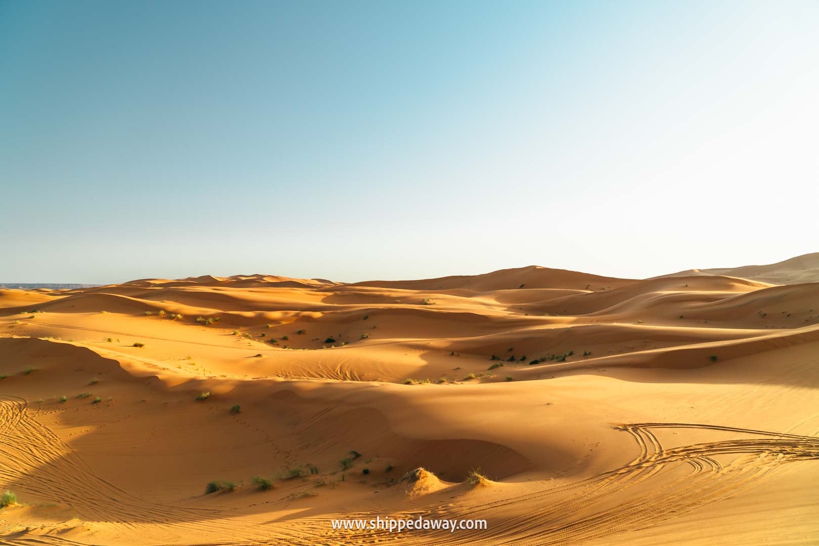 Sand dunes in Merzouga, Morocco's Desert