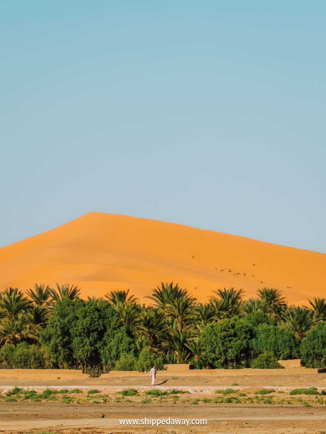Is Merzouga part of the Sahara Desert? Trees in front of the high sand dunes in Merzouga