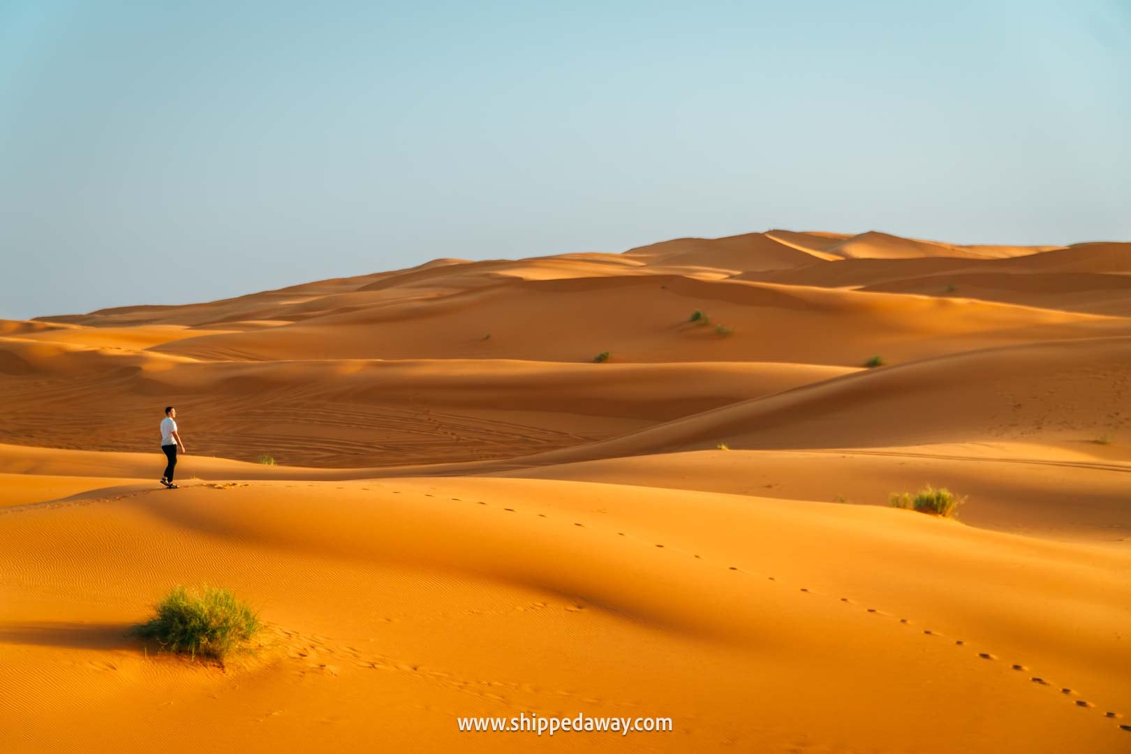 Sand dunes in Merzouga, Morocco's Desert