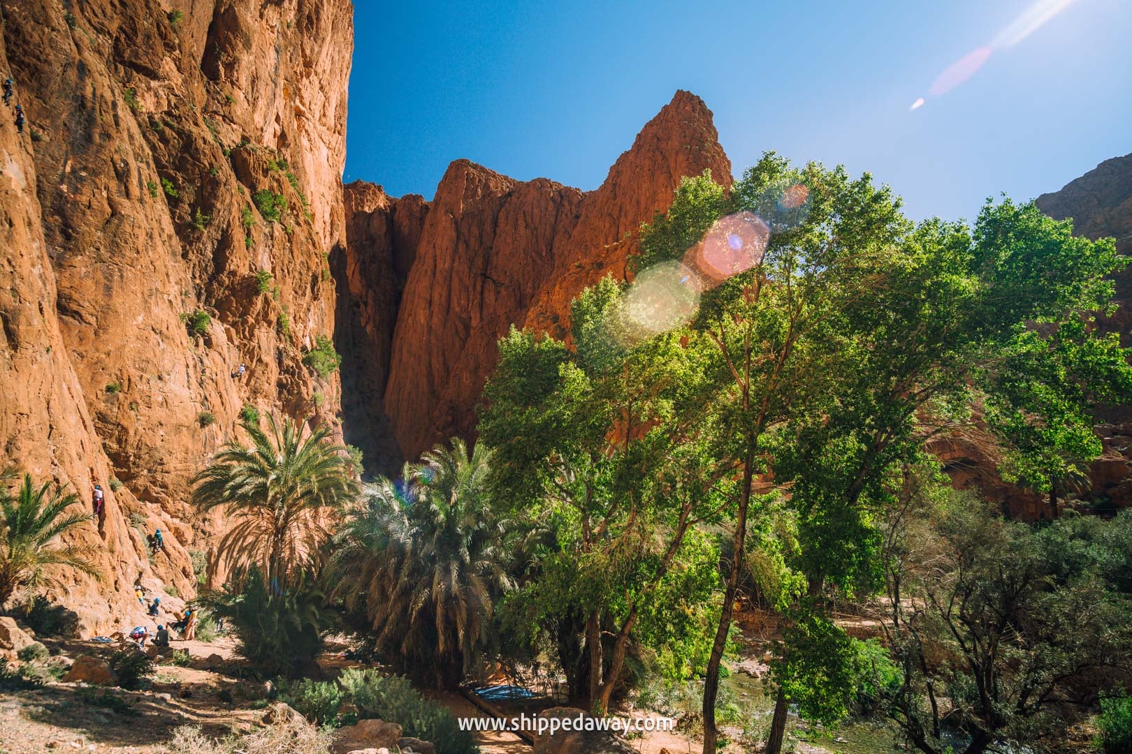 how to visit Todra Gorge and what to see there - rock climbing