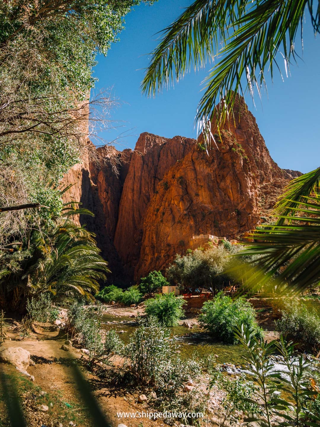 how to visit Todra Gorge and what to see there - rock climbing