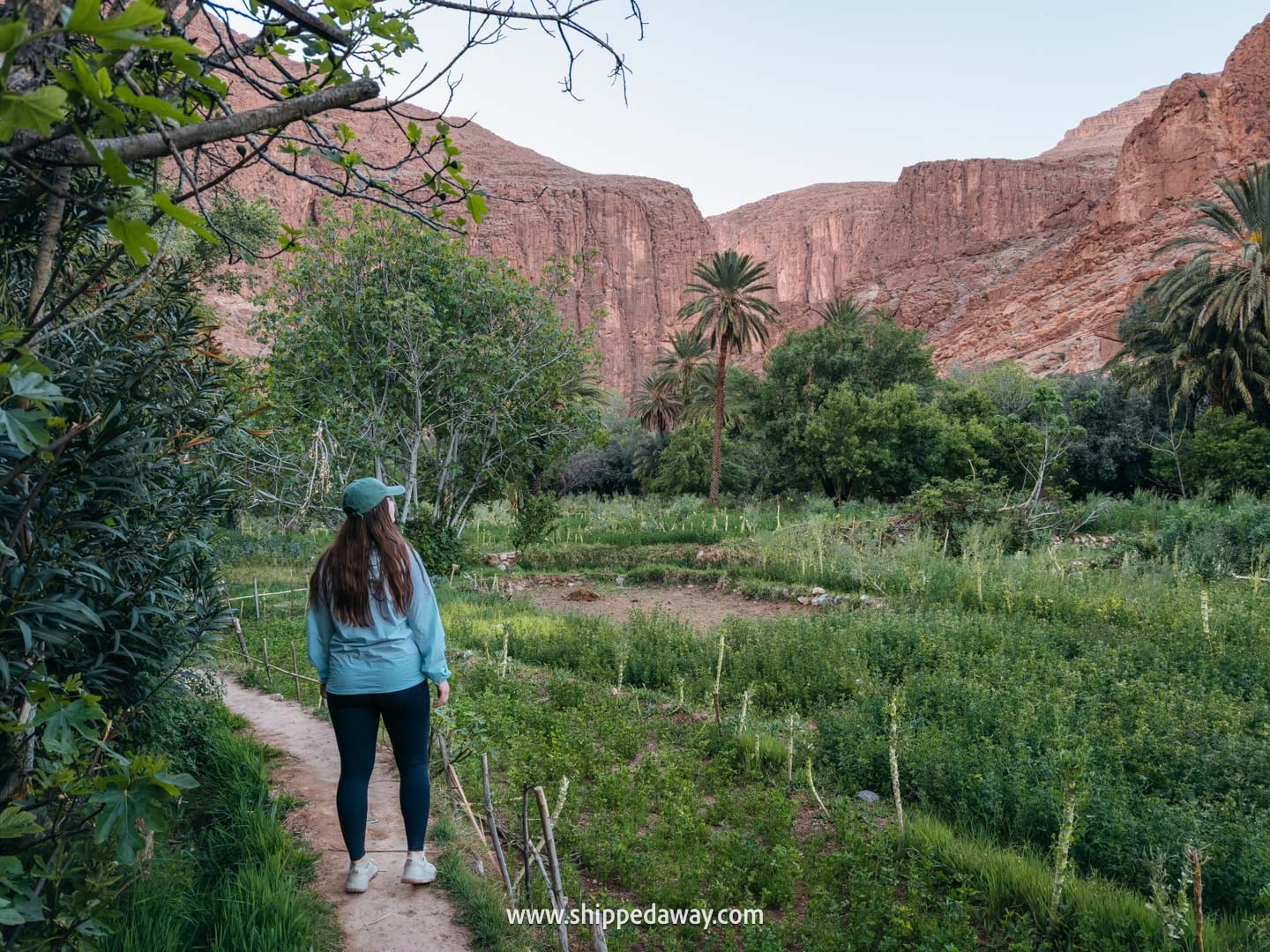 how to visit Todra Gorge and what to see there - hiking the Todra Gorge loop - lush gardens - oasis