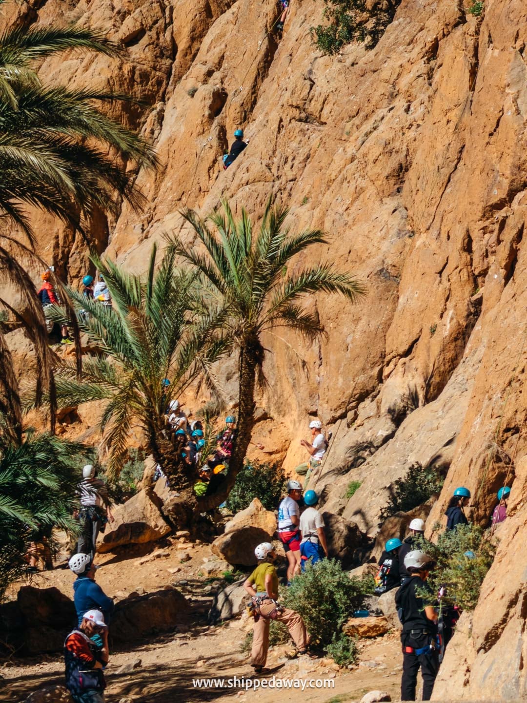 how to visit Todra Gorge and what to see there - rock climbing