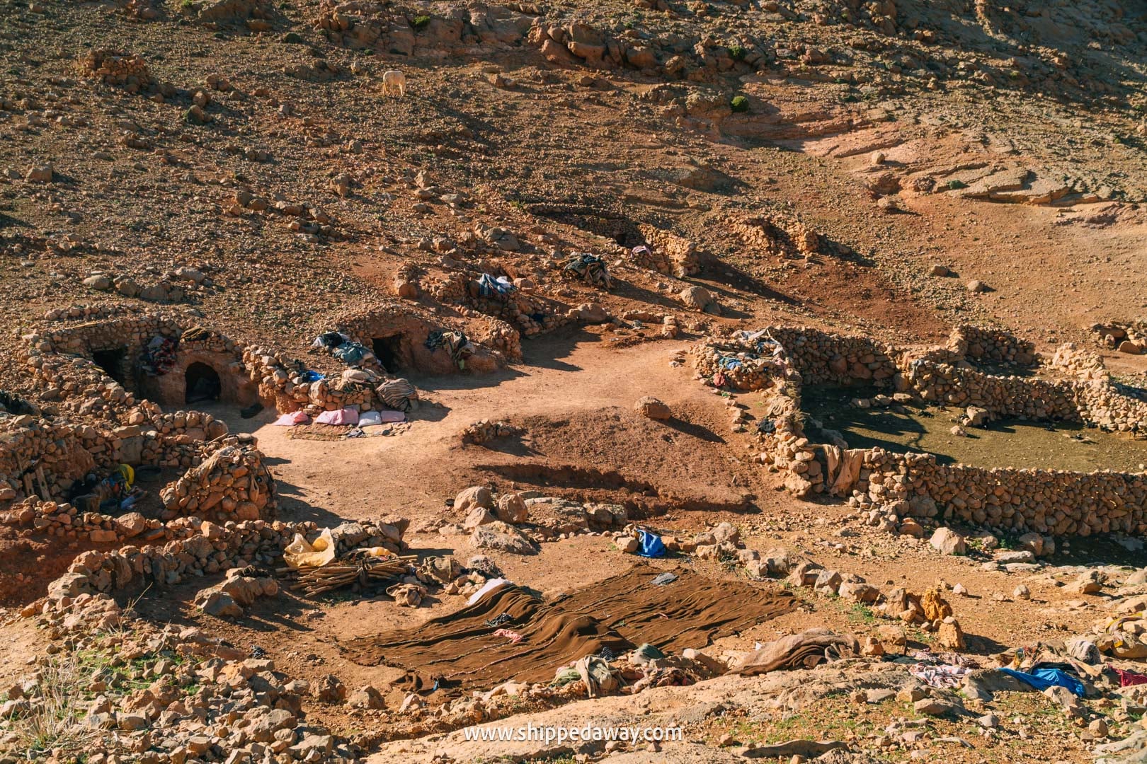 how to visit Todra Gorge and what to see there - nomad camp on the Todra Gorge loop