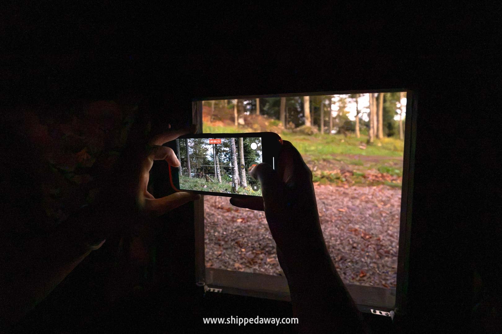 Bearwatching, one of the top things to do in Croatia