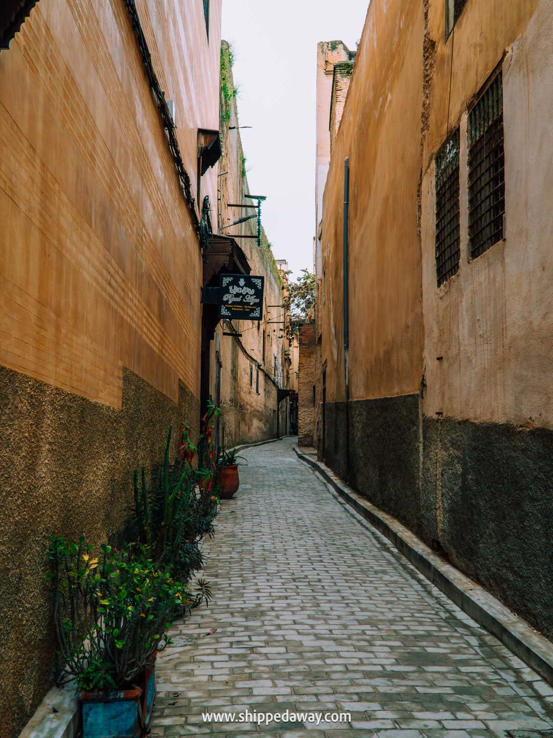 Our experience visiting Fes Tanneries - how to visit Chouara Tannery - scammers on the streets