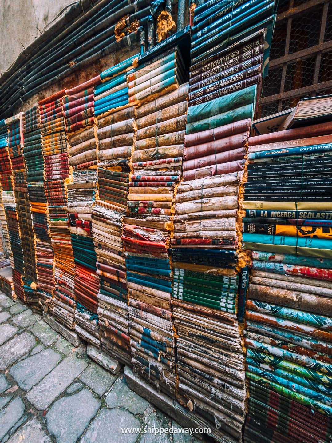 things to do in Venice - tips from our Venice trip - Libreria Acqua Alta