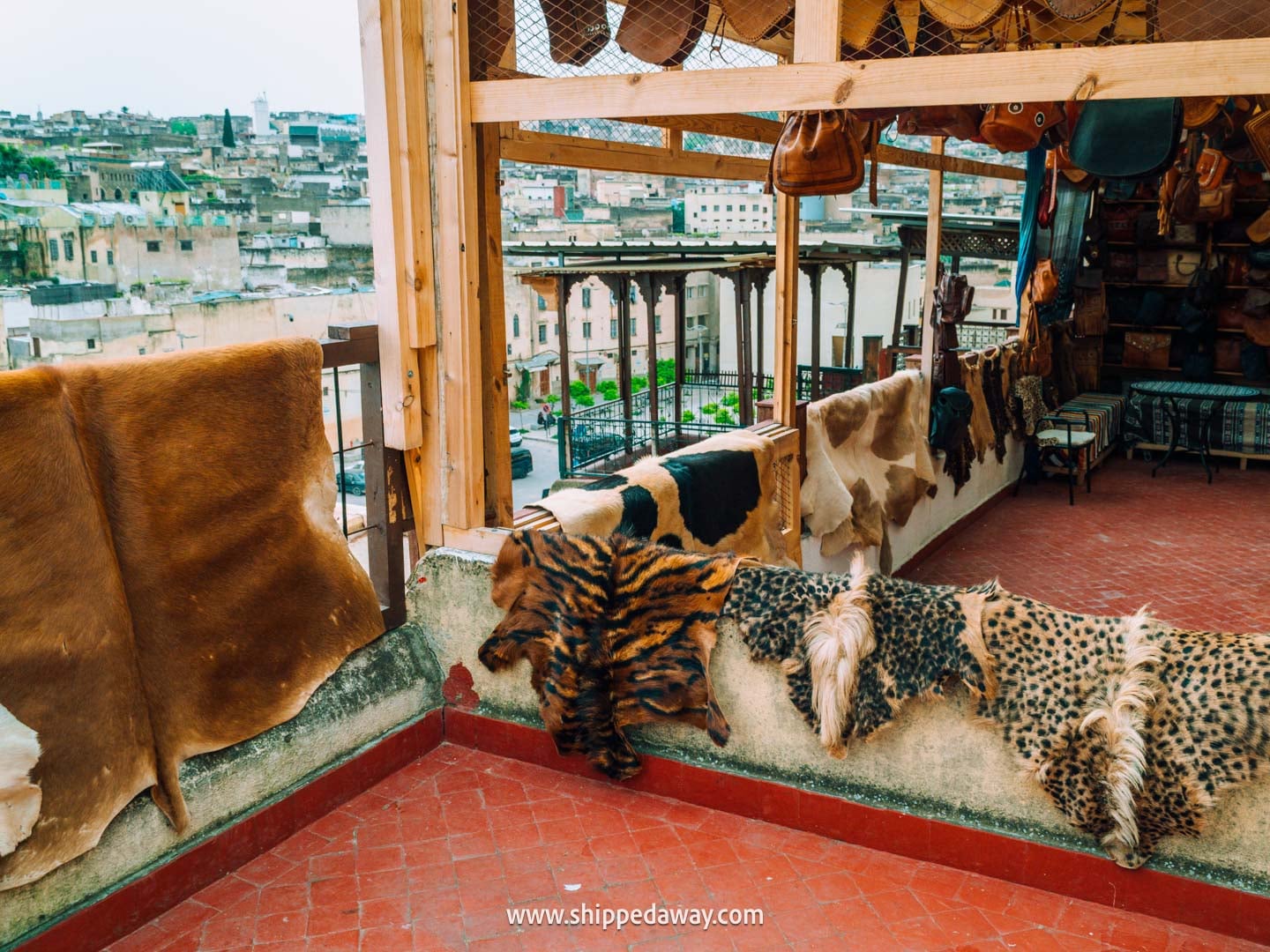 Our experience visiting Fes Tanneries - how to visit Chouara Tannery - drying leather products