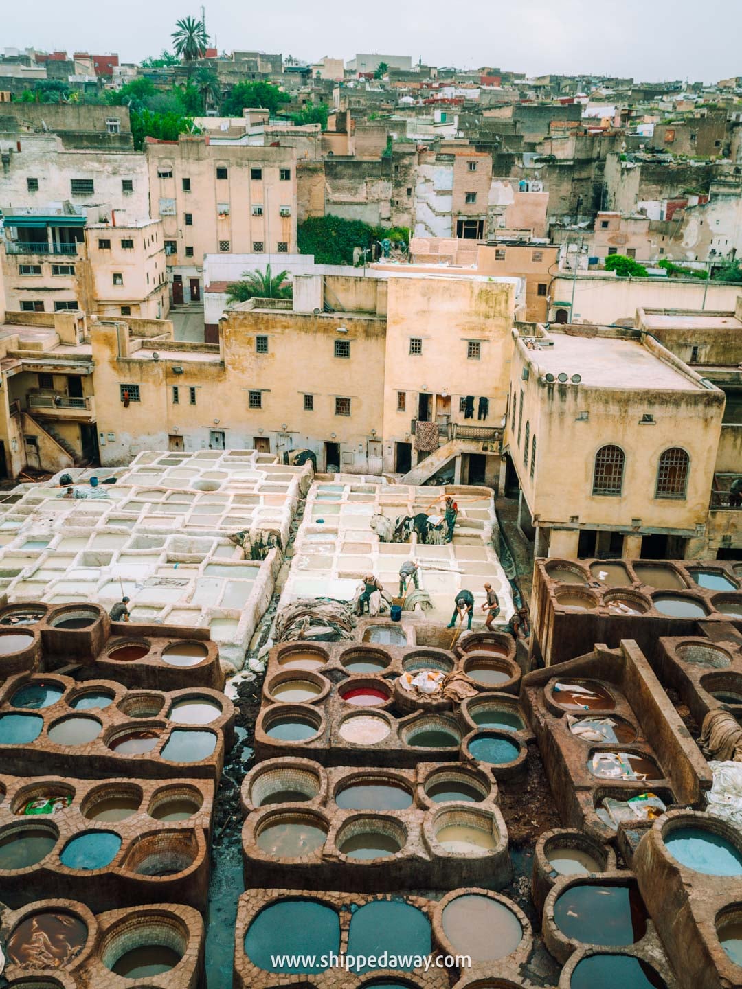 Chouara Tannery - Things to do in Fes, Morocco - what's worth visiting in Fes