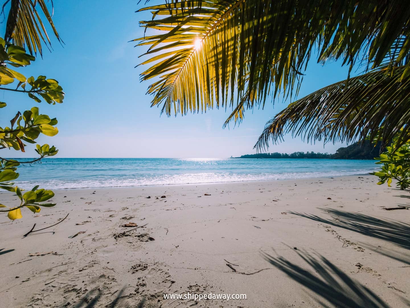 Which Trat Island Is Best? Empty beach in Koh Kood