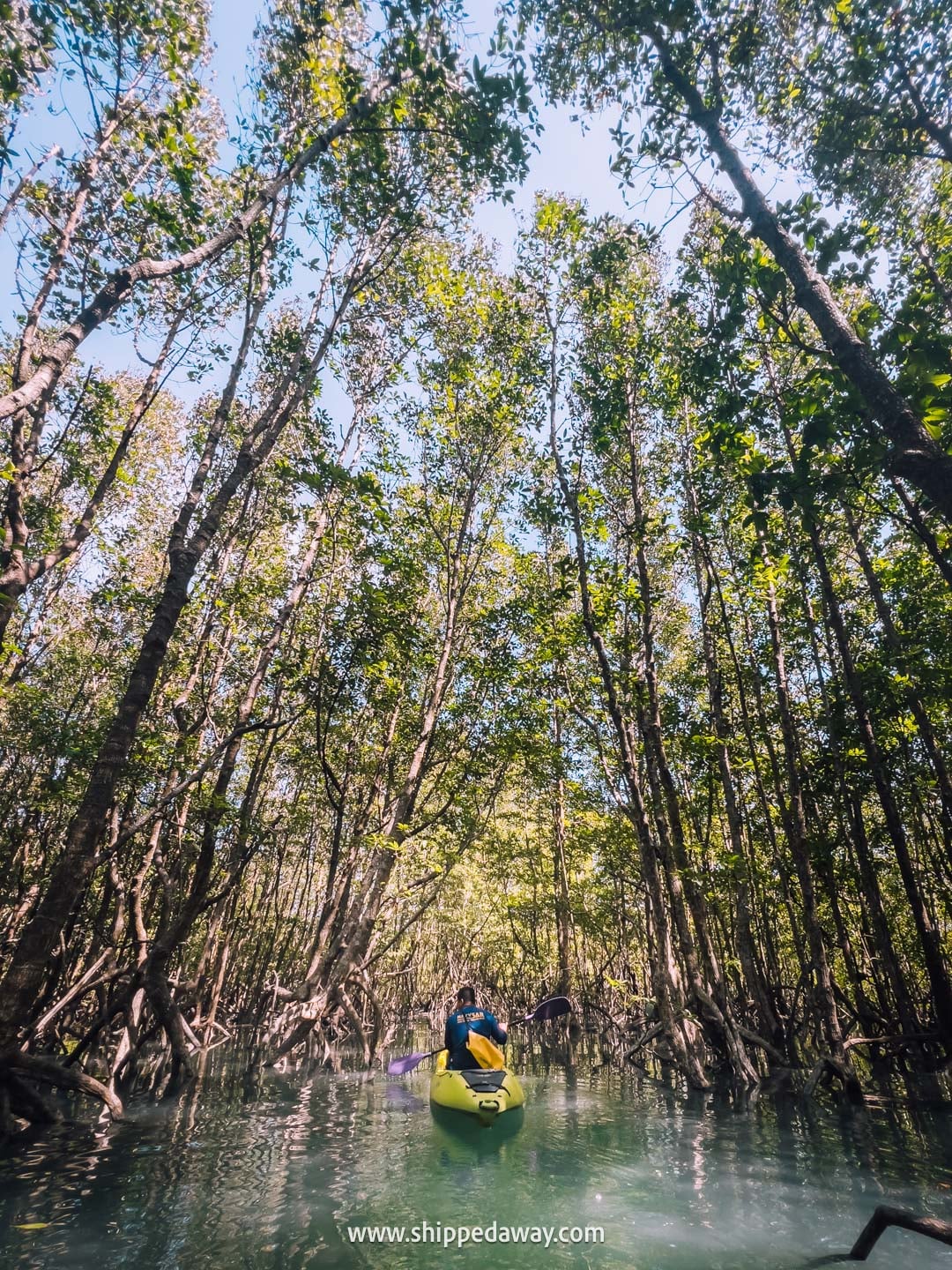 Which Trat Island Is Best? Kayaking in the mangroves of Koh Chang