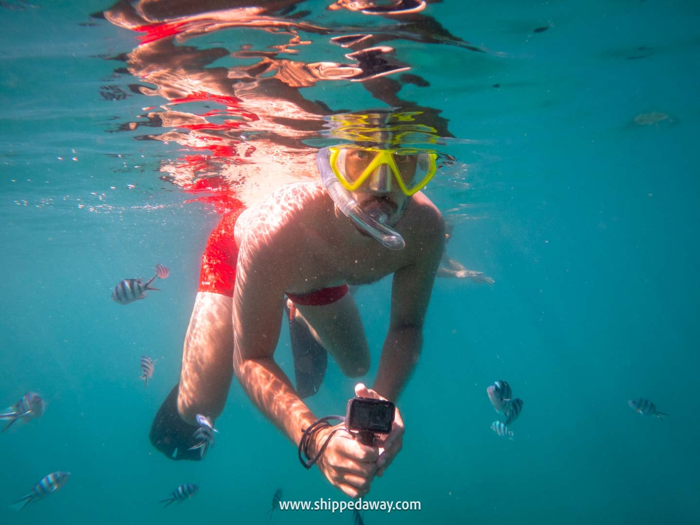 Trat Island Hopping - One week Trat itinerary - Snorkeling in Koh Kood