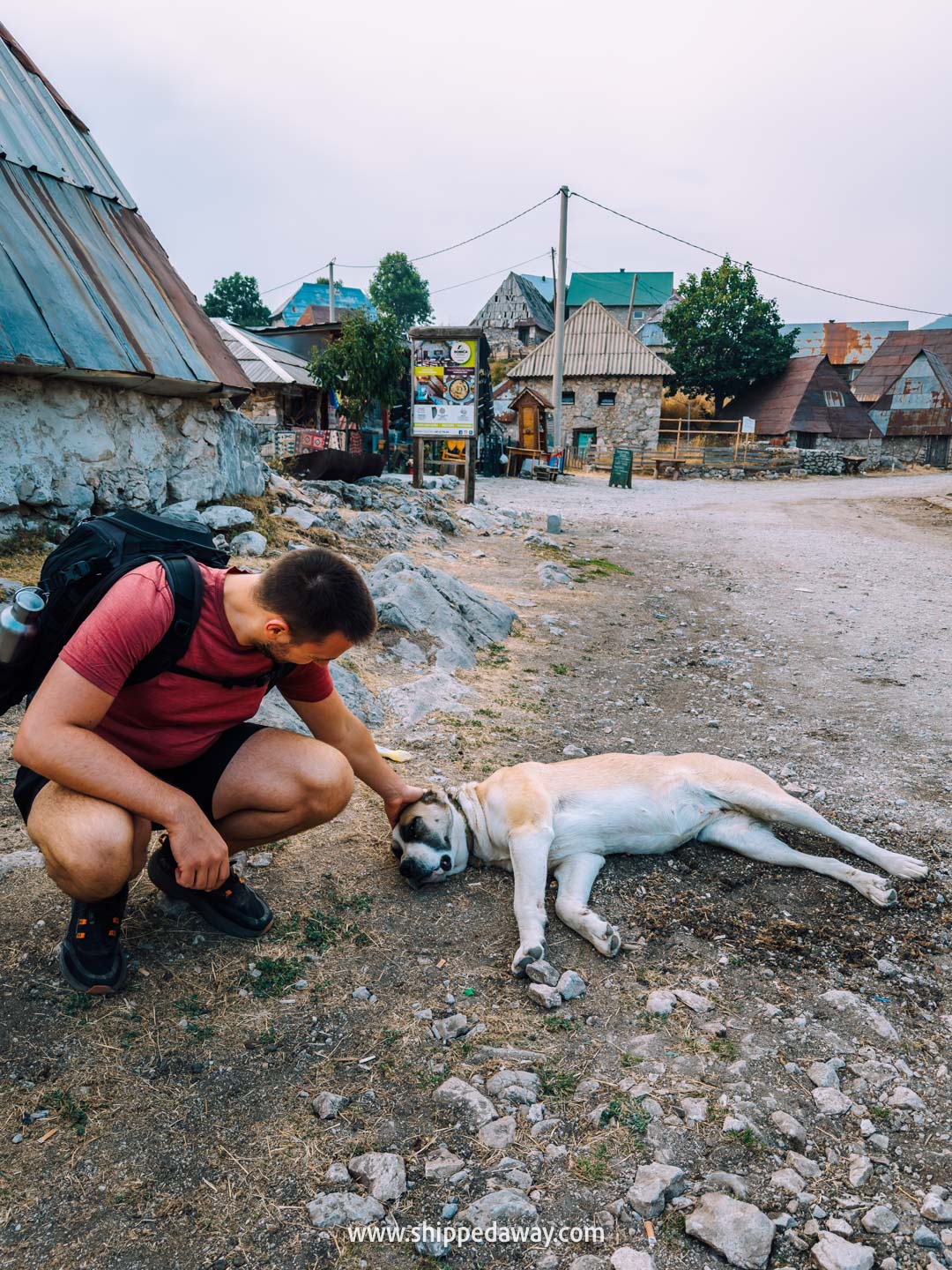 Two weeks in Bosnia and Herzegovina - 2-week Bosnia and Herzegovina itinerary - mountain dogs in Lukomir, the highest inhabited village in the country