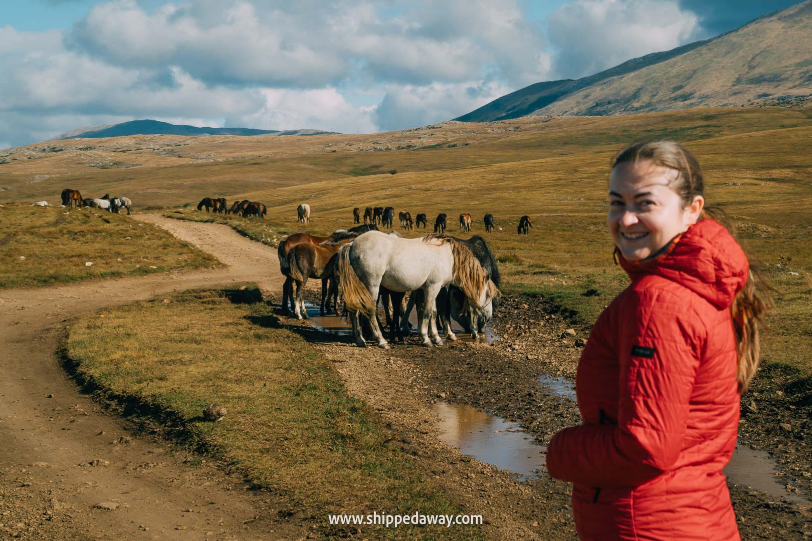 Review of Ubigi eSIM in Bosnia and Herzegovina - wild horses in Livno